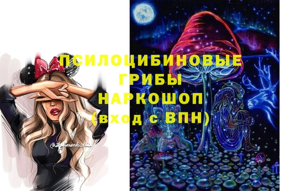 мет Гусев