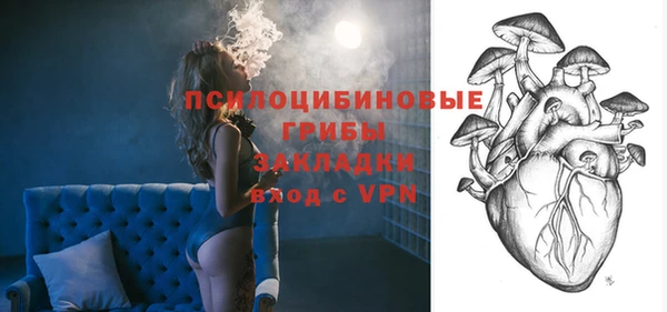 ALPHA-PVP Гусь-Хрустальный