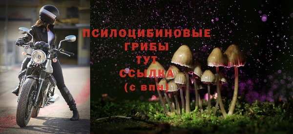 ГАЛЛЮЦИНОГЕННЫЕ ГРИБЫ Гусиноозёрск