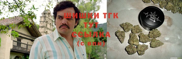 мет Гусев