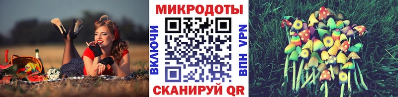 Псилоцибиновые грибы GOLDEN TEACHER  как найти   Черкесск 